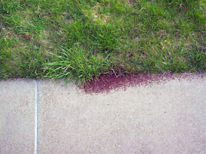 100_2218-sized.jpg