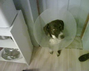IMG00060.jpg